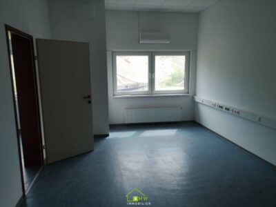 Betriebsobjekt: Lagerhalle mit Büroflächen - Bild (11436)