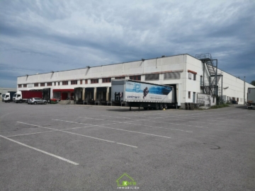 freie Büroflächen in Betriebshalle - Bild (3209)