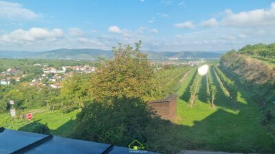 TOP AUSSICHTSLAGE – großzügige Liegenschaft mit großem Garten und Pool - Bild (11912)