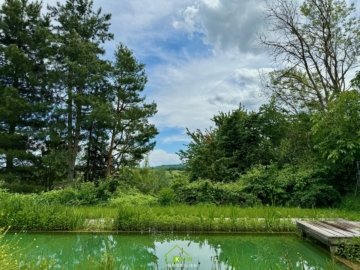ABSOLUTE RUHELAGE: Freizeitparadies in der Wachau - Bild (3311)