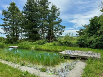 ABSOLUTE RUHELAGE: Freizeitparadies in der Wachau - Bild (3312)