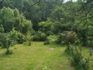 Pachtgrund: Kleingarten im Westen von Wien - Bild (6891)