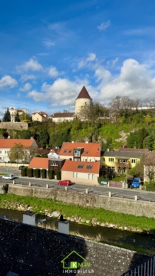 Wohnen im Zentrum: sanierungsbedürftiges Einfamilienhaus mit Entwicklungspotential (inkl. Studie) - Titelbild (3394)