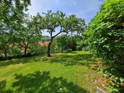 zentrumsnahes Miethaus: Garten-Ruhe-Oase mit Freiblick auf die Weinberge - Bild (11599)