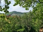Bild - zentrumsnahes Miethaus: Garten-Ruhe-Oase mit Freiblick auf die Weinberge