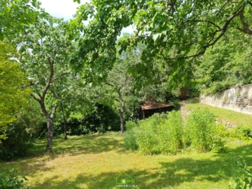 zentrumsnahes Miethaus: Garten-Ruhe-Oase mit Freiblick auf die Weinberge - Bild (5358)