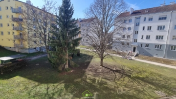 NEU AM MARKT: Charmante 3-Zimmer-Eigentumswohung in TOP-Lage Nähe Bahnhof - Bild (5385)