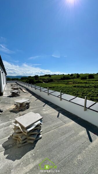 Aussichtslage Top 11: Weingartenblick – Luxuriöse 4 Zimmer Dachgeschosswohnung mit herrlicher Terrasse - Bild (11245)