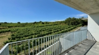 Bild - Aussichtslage Top 10: Stadt- und Weingartenblick – 4 Zimmer Eigentumswohnung mit Terrasse
