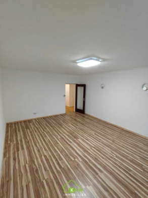 Erstbezug nach Sanierung: großzügige Mietwohnung in der Mitterau - Bild (3638)