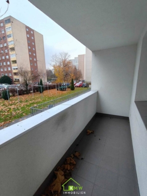 Erstbezug nach Sanierung: großzügige Mietwohnung in der Mitterau - Bild (3640)