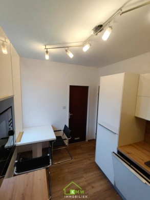 Erstbezug nach Sanierung: großzügige Mietwohnung in der Mitterau - Bild (3642)