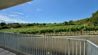 Titelbild - Aussichtslage Top 8: Weingartenblick – 3 Zimmer Eigentumswohnung mit Terrasse