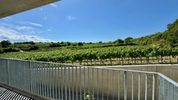 Aussichtslage Top 8: Weingartenblick – 3 Zimmer Eigentumswohnung mit Terrasse - Titelbild (3515)