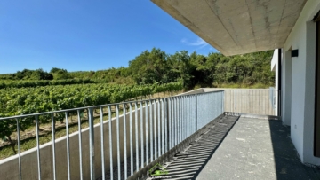 Aussichtslage Top 8: Weingartenblick – 3 Zimmer Eigentumswohnung mit Terrasse - Bild (3522)
