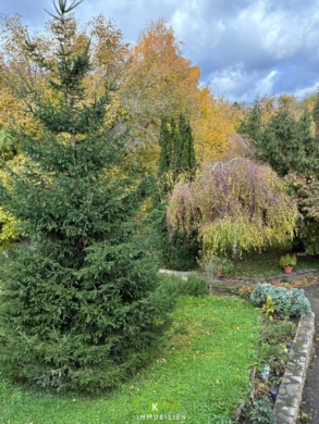 ANLAGEOBJEKT – Vermieten und/oder selber wohnen - Bild (3091)