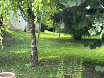 ANLAGEOBJEKT – Vermieten und/oder selber wohnen - Bild (3086)