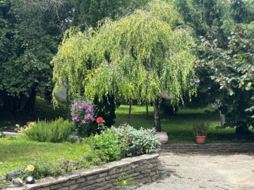 ANLAGEOBJEKT – Vermieten und/oder selber wohnen - Bild (3088)