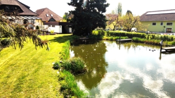 gepflegtes Wohnhaus in Ruhelage mit großem Garten, Schwimmteich und Doppelgarage - Bild (7126)