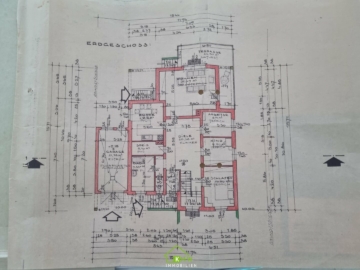 großzügiges Wohnhaus in ruhiger Lage - Grundriss (3307)