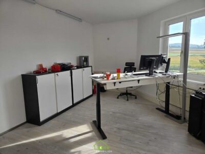 Großzügige Büro- und Gewerbefläche zwischen Krems und St. Pölten - Bild (12106)