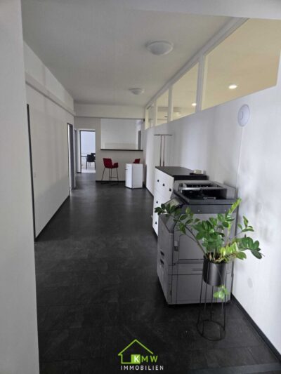 Großzügige Büro- und Gewerbefläche zwischen Krems und St. Pölten - Bild (12105)