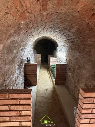 Hochqualitativ sanierter Weinkeller mit Weingarten und herrlicher Aussicht - Bild (12142)