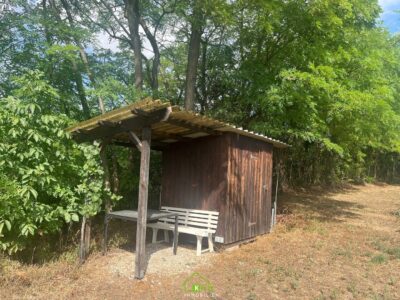 Hochqualitativ sanierter Weinkeller mit Weingarten und herrlicher Aussicht - Bild (12151)