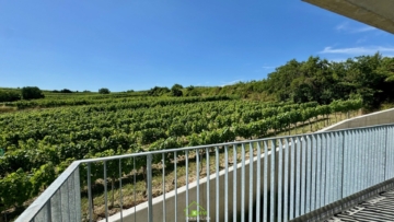 Aussichtslage Top 9: Fernblick – 3 Zimmer Eigentumswohnung mit Terrasse - Bild (3528)