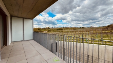 Aussichtslage Top 9: Fernblick – 3 Zimmer Eigentumswohnung mit Terrasse - Titelbild (7136)