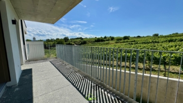 Aussichtslage Top 9: Fernblick – 3 Zimmer Eigentumswohnung mit Terrasse - Titelbild (3527)