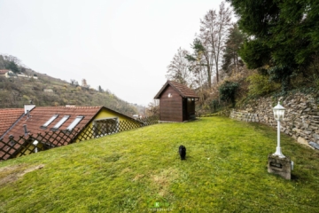 NEUER PREIS – Gut gepflegtes Haus in toller Lage – nähe Campus Krems - Bild (3286)