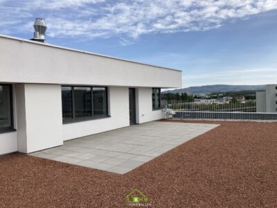 PROVISIONSFREI: großzügige 4-Zi-Dachgeschoßwohnung mit Dachterrasse - Bild (11745)