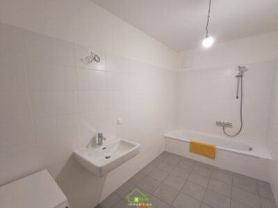 PROVISIONSFREI: großzügige 4-Zi-Dachgeschoßwohnung mit Dachterrasse - Bild (11738)