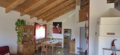 Modernes Wohnen in Kapelln – TOP-gepflegtes Einfamilienhaus mit besonderem Wohncharakter - Bild (12847)