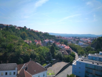 NEU AM MARKT – ERSTBEZUG NACH SANIERUNG: 2-Zimmer-Wohnung mit Loggia in Zentrumsnähe – traumhafter Ausblick - Bild (5438)