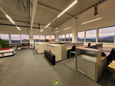 Repräsentative, moderne ca. 505m² Büroflächen mit Kantine und Parkplätzen - Bild (11469)