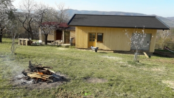 Obstbau Unternehmen – landwirtschaftlicher Betrieb in der Wachau - Bild (2930)