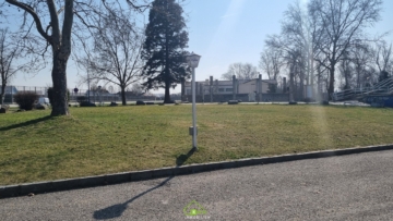 Vielseitige Gewerbeliegenschaft mit Ertragspotenzial - Bild (7038)