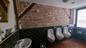 Vielseitige Gewerbeliegenschaft mit Ertragspotenzial - Bild (7045)