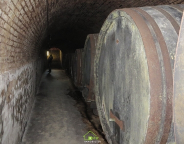 NEUER PREIS – Einmalige Gelegenheit – Weinkeller inkl. Weingarten - Bild (5085)