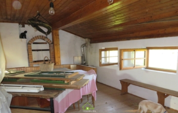 NEUER PREIS – Einmalige Gelegenheit – Weinkeller inkl. Weingarten - Bild (5087)