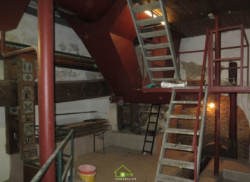 NEUER PREIS – Einmalige Gelegenheit – Weinkeller inkl. Weingarten - Bild (5079)