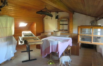 NEUER PREIS – Einmalige Gelegenheit – Weinkeller inkl. Weingarten - Bild (5086)