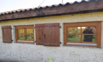 NEUER PREIS – Einmalige Gelegenheit – Weinkeller inkl. Weingarten - Bild (5089)