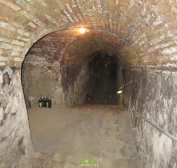 NEUER PREIS – Einmalige Gelegenheit – Weinkeller inkl. Weingarten - Bild (5083)