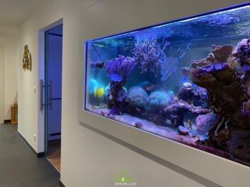 13 ZUGMINUTEN NACH WIEN: Neuwertige 4-Zi-Wohnung mit großzügigem Balkon und Blick ins Grüne - Bild (7004)