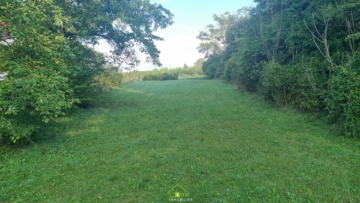 TOP AUSSICHTSLAGE – großzügige Liegenschaft mit großem Garten und Pool - Bild (3148)